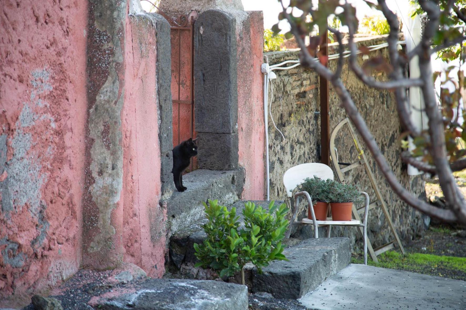 Podere Dell'etna Segreta - Essential Nature & Glamping