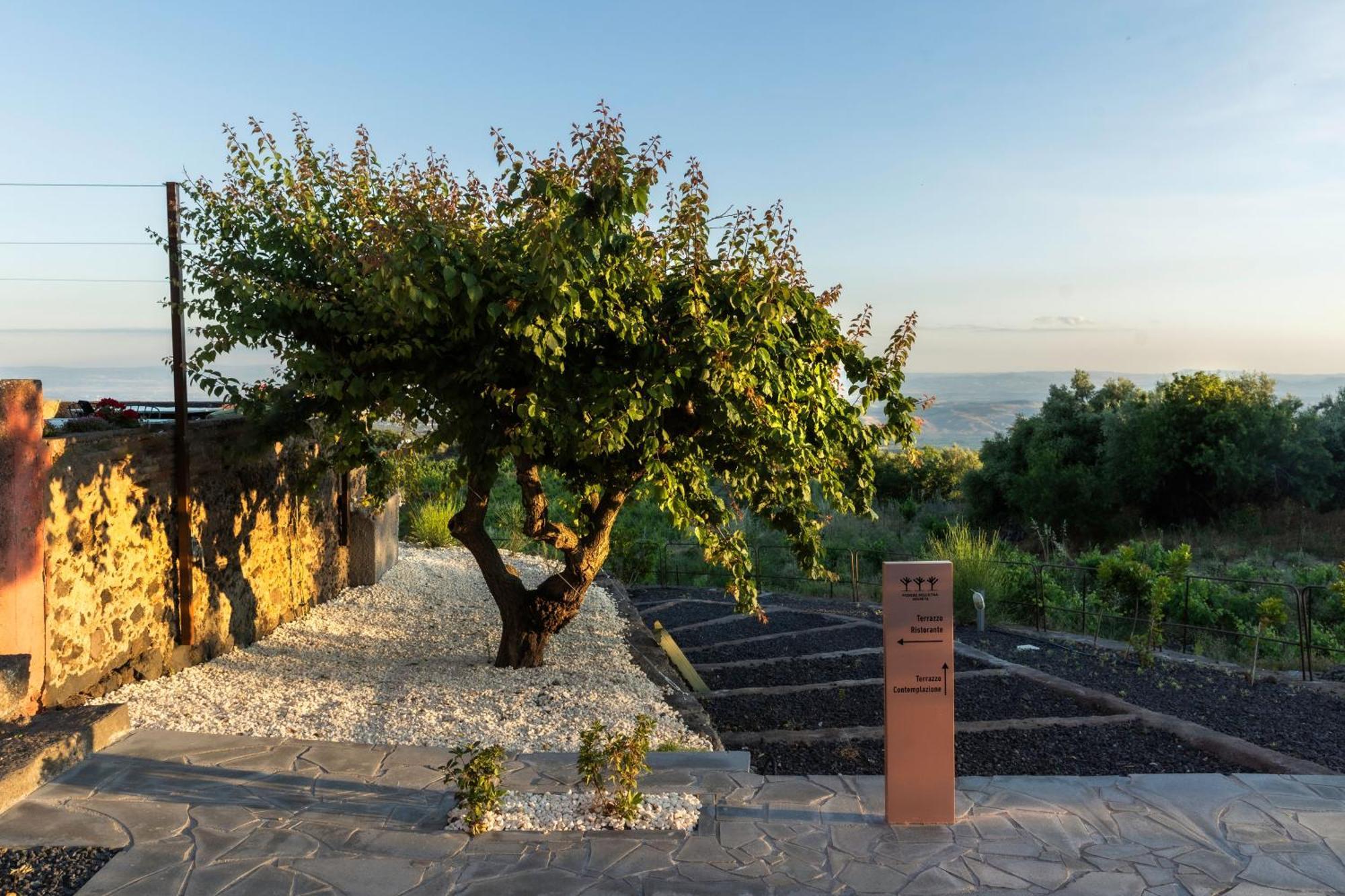 Podere Dell'etna Segreta - Essential Nature & Glamping * Biancavilla