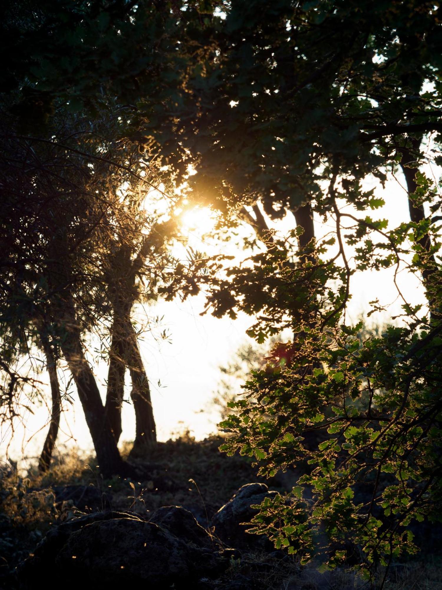 Podere Dell'etna Segreta - Essential Nature & Glamping